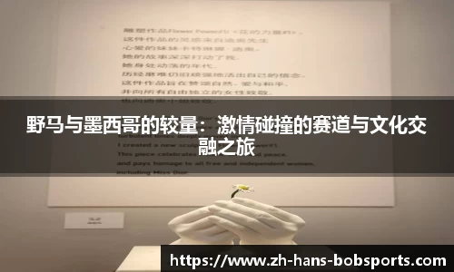 BOB半岛体育官方网站