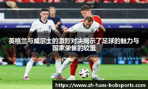 BOB半岛体育平台